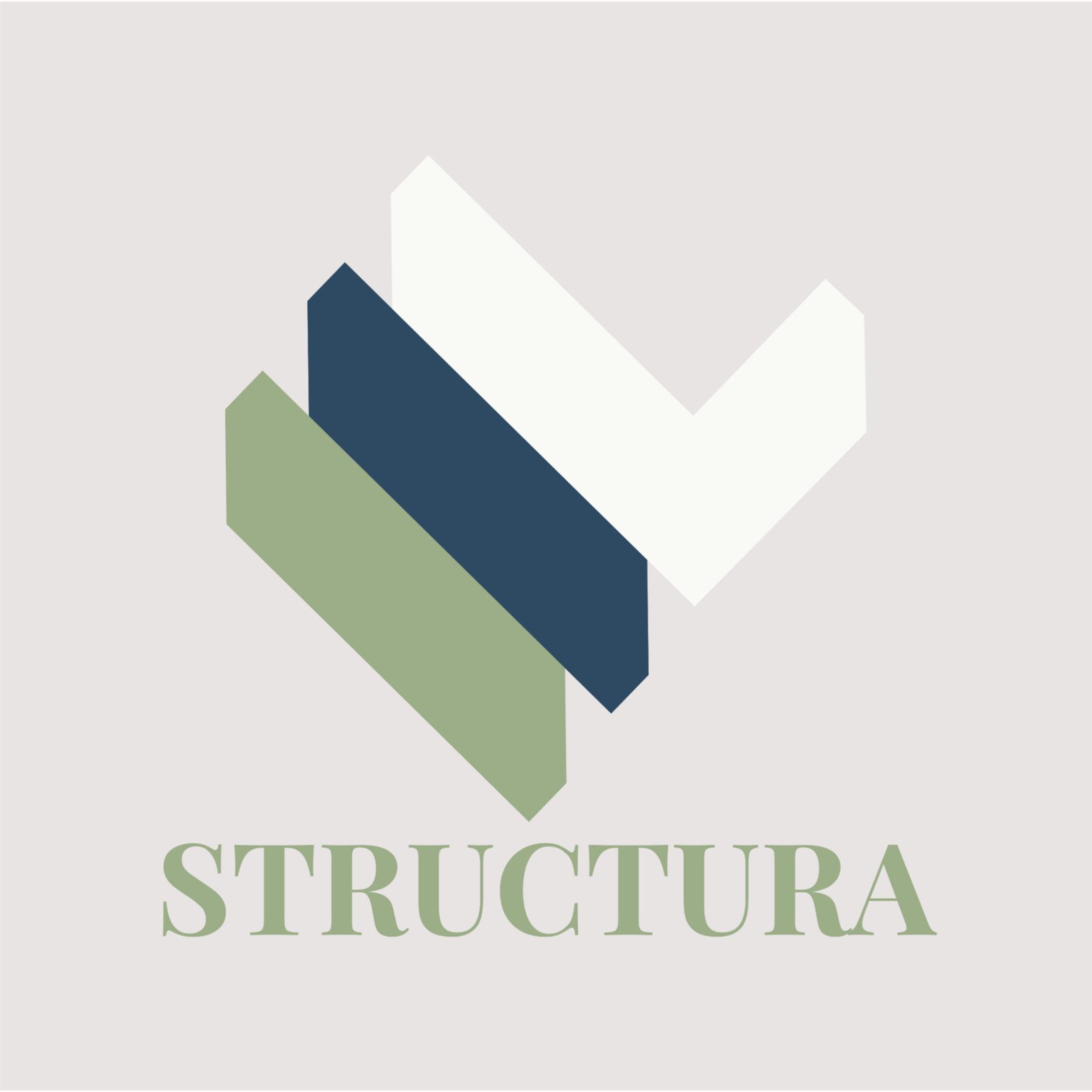 STRUCTURA STRUCTURA